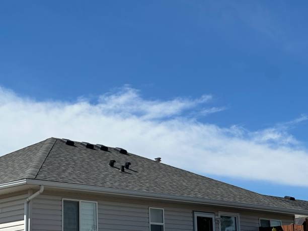 Best Metal Roofing Installation  in Bonanza, GA